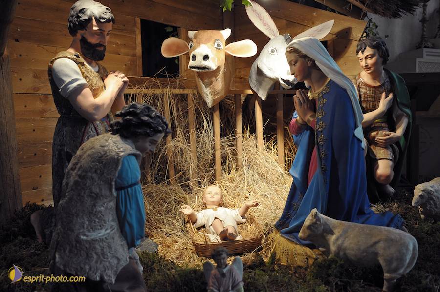 Nom de l'image : D30043017_1_(c)Norbert-JUNG — Description :